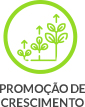 promocao